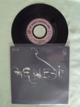 Genesis, Follow You, Follow Me / r