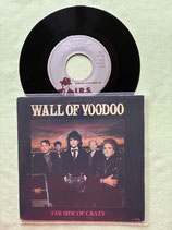 Wall of Voodoo, Far Side Of Crazy / r