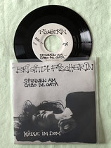 Brigitta Fischerin, Spinnen am Cabo de Gata / chv