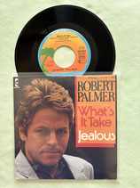 Robert Palmer, What's It Take