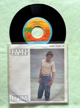 Robert Palmer, Looking For Clues