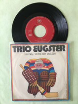 Trio Eugster, Iishockey / chv