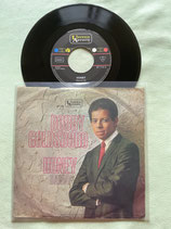 Bobby Goldsboro, Honey