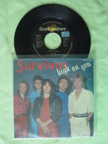 Survivor, High On You / r