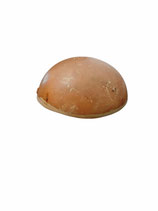 Calebasse moyenne