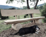 Holzbank aus Eiche auf Kundenwunsch