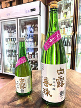 白露垂珠　純米吟醸 初しぼり 生酒 2024/06BY