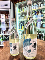 勢正宗　Summer carp（サマーカープ）純米吟醸生原酒 2023/05BY