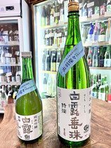 白露垂珠　特撰純米酒 2023/05BY