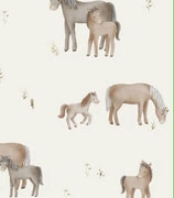 Combi-short chevaux