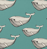 Sarouelopettes courtes baleines aqua