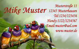 Aufkleber mit fünf Motiven