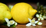 Limone rettificato
