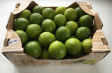Caisse de Citrons Verts 4,5kg environ Lille