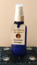 Conscience Kristique