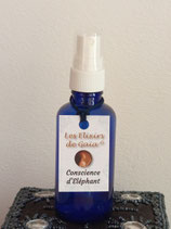 Conscience d'Eléphant