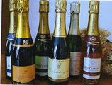 14 kleine (0,375l) Champagner für Champagnerneugierige