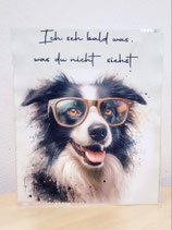 Border Collie mit Brille