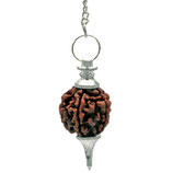 Rudraksha Pendel