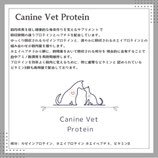 CVプロテイン✖️5個セット