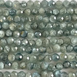 Mineralien·Perlen (1S) - Kyanit facettiert - ~3.1mm (891619)