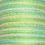 Polyester gewachst (1) - Multicolor 0.5mm - GLITZER (N48g)