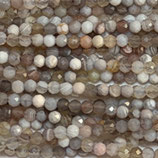 Mineralien·Perlen (1S) - Botswana Achat - facettiert ~2.4mm (891936)