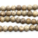 Fossil Crinoid Perlen (1S) - matt ~8mm ()