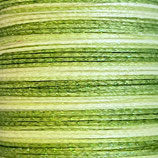 Polyester gewachst (1) - Farbverlauf 0.5mm - GLITZER (N18g)