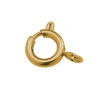 Federringe (10) - Edelstahl golden - 8mm (451307)