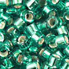 Miyuki Delicas 11/0 - Silver Lined - Caribbean Green (1208·B10)