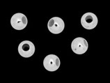 925 Perlen (50) - 3mm/1.3mm (2456)