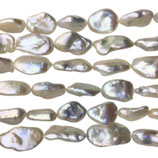 Süsswasserperlen (1S) - Barock weiss/grau - ~10/12mm (200188)