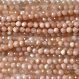Mineralien·Perlen (1S) - Pfirsich Mondstein facettiert - ~3.6mm (891503)