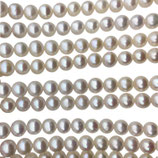 Süsswasserperlen (1S) - rund weiss - ~8mm (200190)
