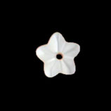 Blüte (1) - Perlmutt 6mm (8940)