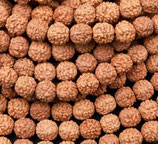 ~108 Samen·Perlen (1S) - Rudraksha ~6mm - '(890531)