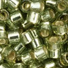 Miyuki Delicas 11/0 - Duracoat Olive - silverlined (2163·B10)