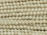 Glas·Perlen (1S) - Shell facettiert - ~2mm (311857)