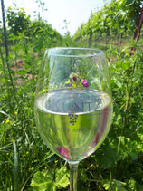 WineWalk_2025 --- 14. Juni 2025 --- Geführte Weinbergswanderung mit Wingertspicknick