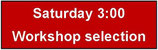 SAT 3:00 workshop