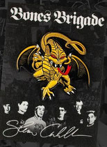 Powell Peralta Steve Caballero Pin