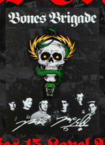 Powell Peralta Mike McGill Pin