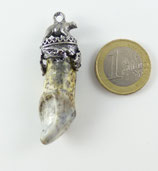 Höhlenbär Schneidezahn Nr.2