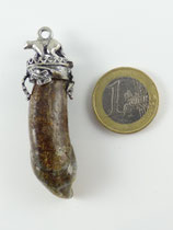 Höhlenbär Schneidezahn Nr.1