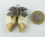 Zwei Wildsau- zähne Nr.4