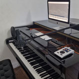 Online-Coaching Singstimme