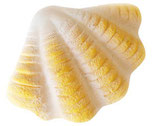Jouet Coquillage Crème