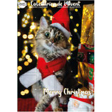 Calendrier de l'avent pour chat
