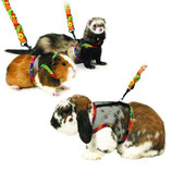 Harnais + Laisse pour Furet/Rongeur